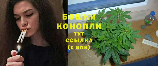 индика Няндома