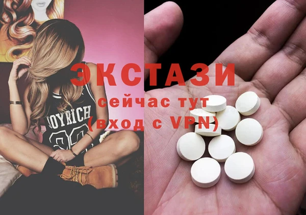 индика Няндома