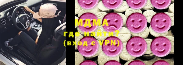 индика Няндома
