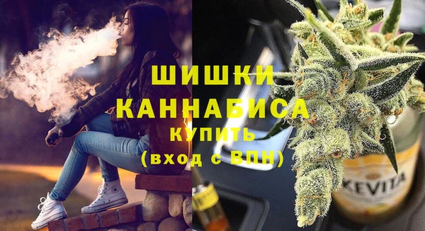 индика Няндома