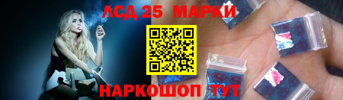Псилоцибиновые грибы Владимир