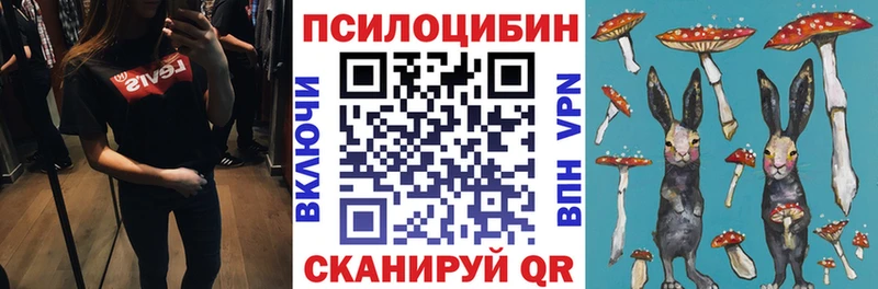 Псилоцибиновые грибы мухоморы  Владимир 