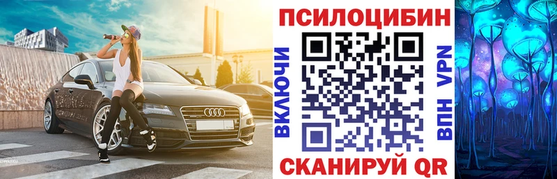 Псилоцибиновые грибы Psilocybe Владимир