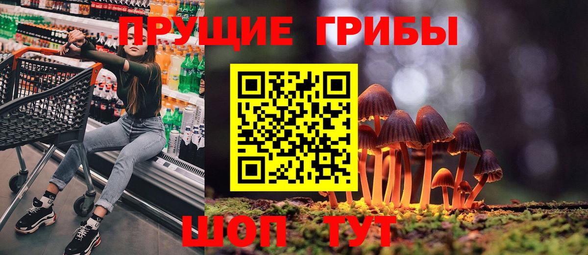 Псилоцибиновые грибы Psilocybe Владимир